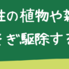 つる性の植物を根こそぎ駆除する方法