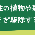 つる性の植物を根こそぎ駆除する方法