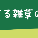 トゲのある雑草の抜き方