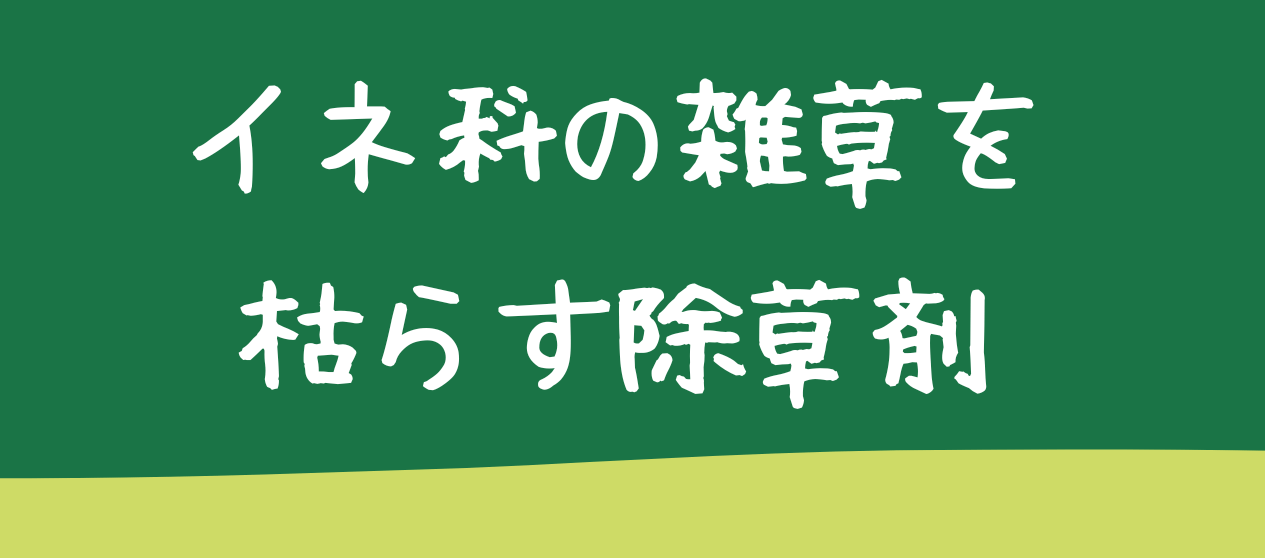 イネ科の雑草を枯らす除草剤