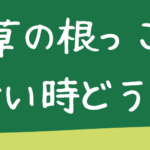 雑草の根っこが抜けない時どうする？