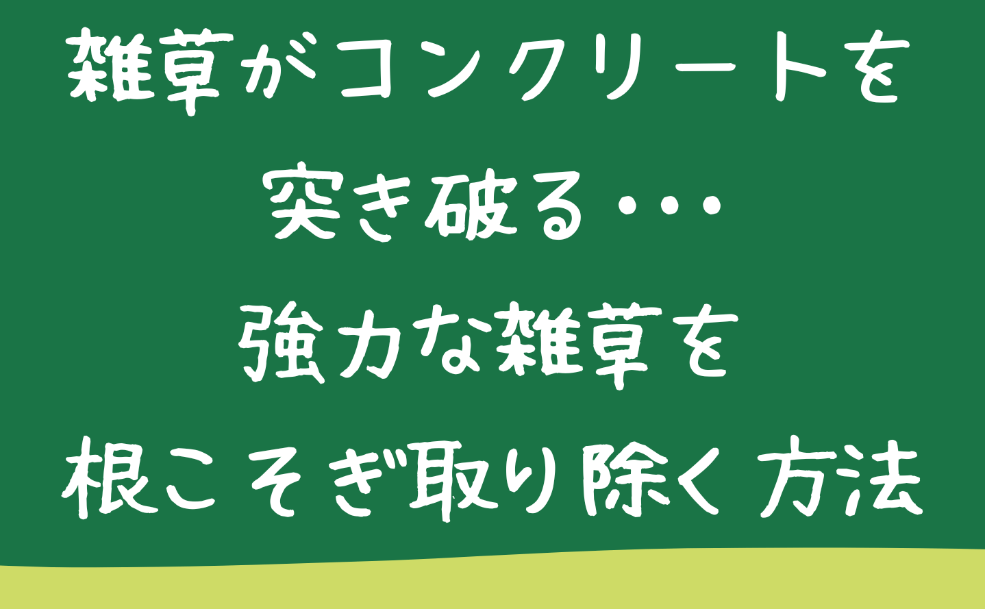 雑草がコンクリートを突き破る。強力な雑草を根こそぎ取り除く方法