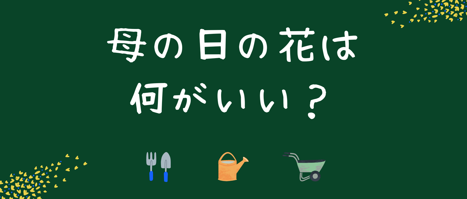 母の日の花は何がいい？