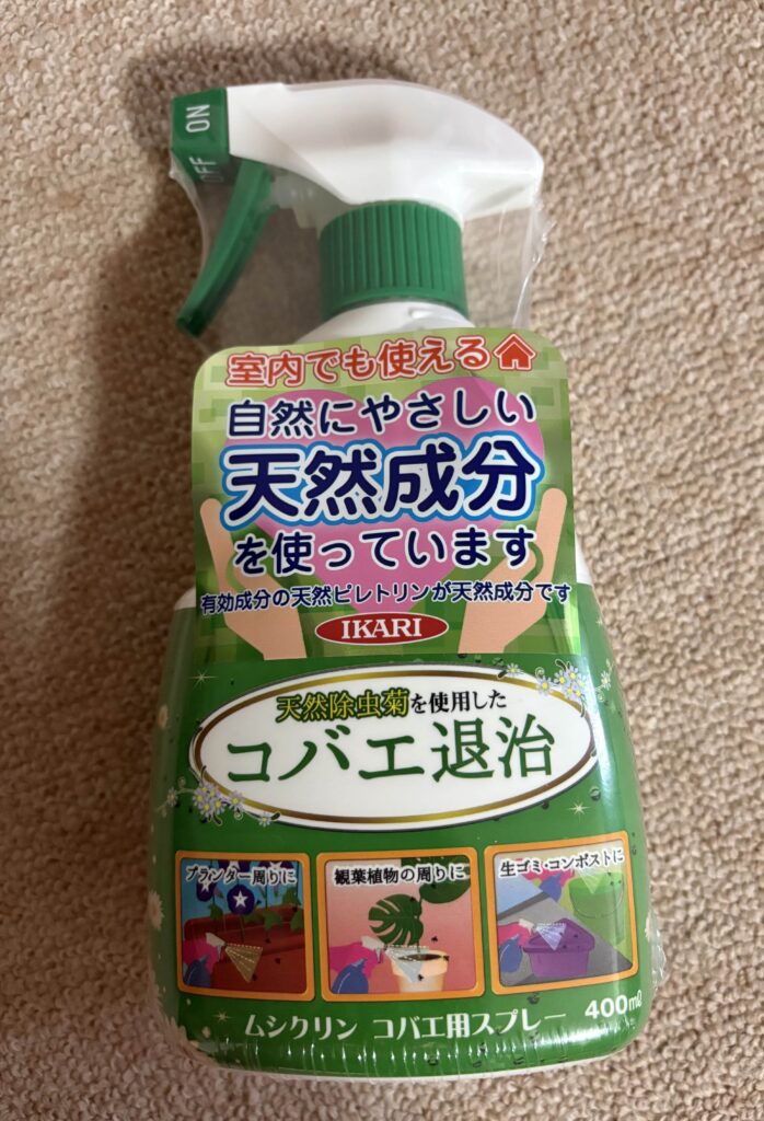 コバエ退治
